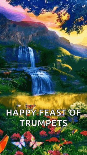 Borboletas Butterfly GIF