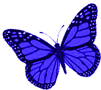 Borboletas Butterfly Sticker