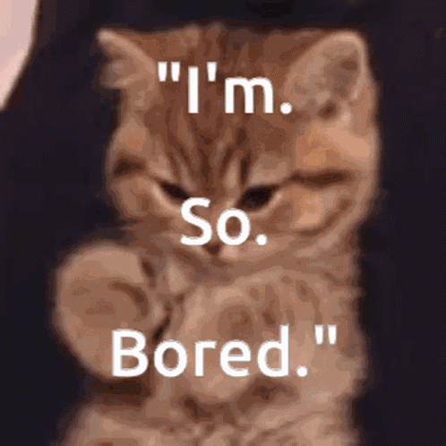 Bored Bored Cat GIF