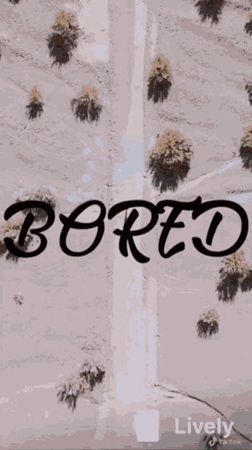 Bored Wallpaper GIF