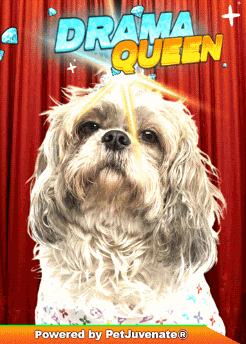 Bork Cute Doggo GIF
