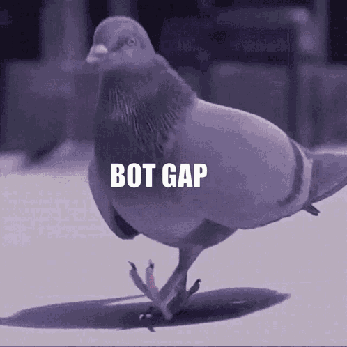 Botgap GIF