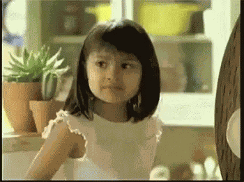 Both Taco GIF