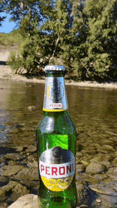 Bottle Lemon Beer GIF