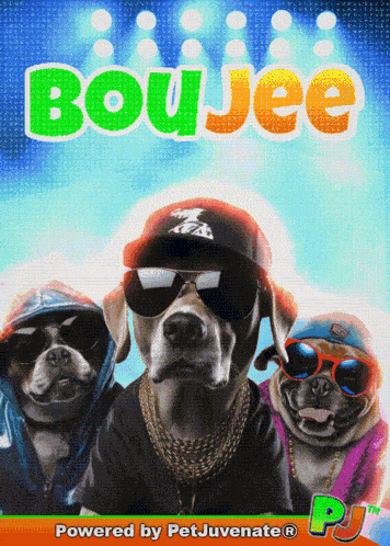 Boujee We Boujee GIF