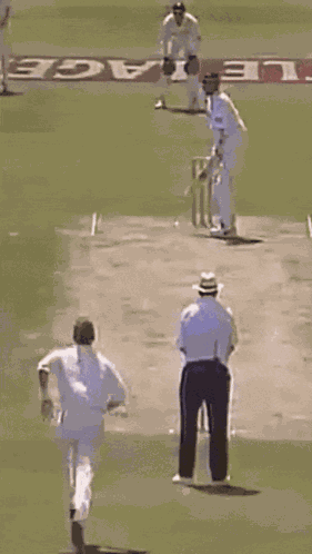 Bouncer Cricket GIF