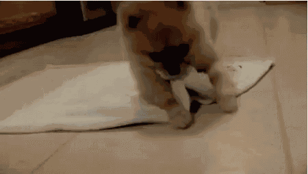 Bourbon Love You GIF