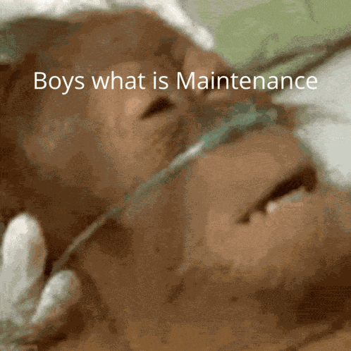 Boys What Is Maintenance Maintenance GIF