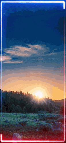 Boyvitz6969 GIF