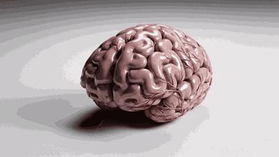 Brain Melt Brain Puddle GIF
