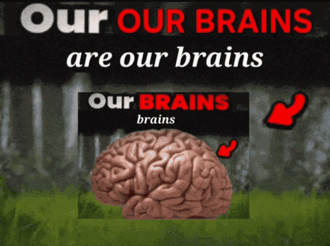Brain Our Brains GIF