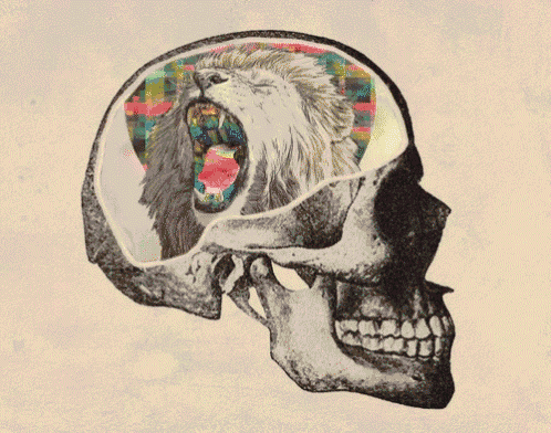 Brain Skull GIF