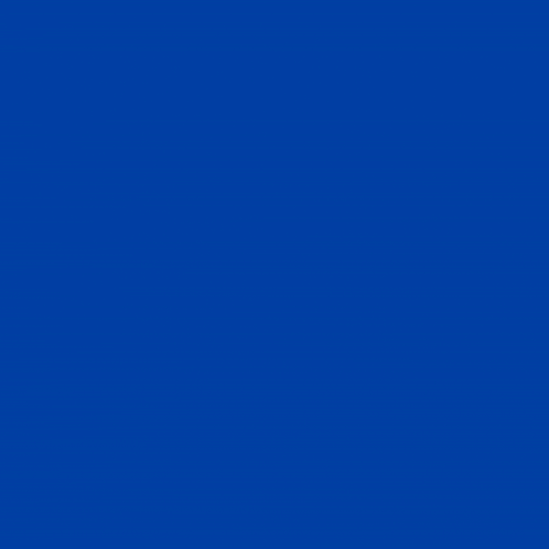 Brampton GIF