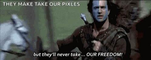 Braveheart Freedom GIF
