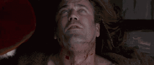 Braveheart Freedom GIF