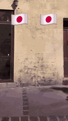 Brazil Japan Slap Brazil Japan Worldcup GIF