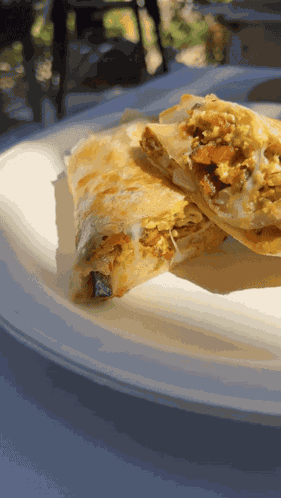 Breakfast Burrito Food GIF