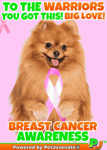 Breast Cancer Awareness Pj Petjuvenate Love Big Love Gif Chemo Cancer Awareness Breat Exam Warrior Have Faith GIF