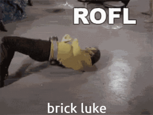 Brick Luke Rofl GIF