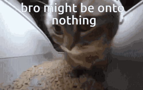 Bro Might Be Onto Nothing GIF