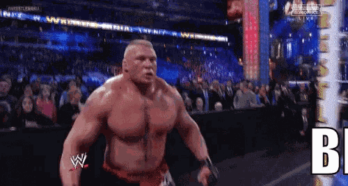 Brocha Gritando Vocêébrocha GIF