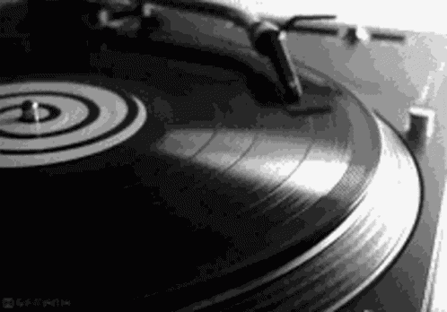 Broken Record Record GIF