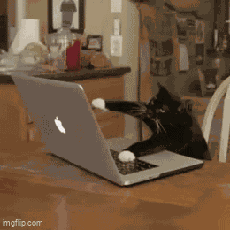 Bromous Crawler Made A Gif GIF