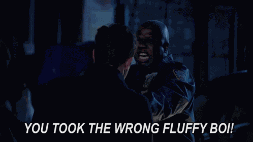 Brooklyn99 Brooklyn Nine Nine GIF