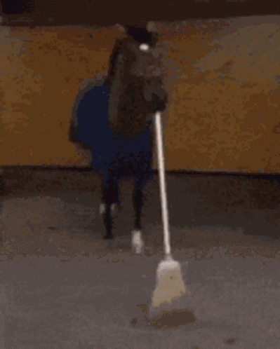 Broom Broom Horse GIF