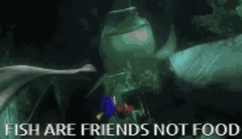 Bruce Chum GIF