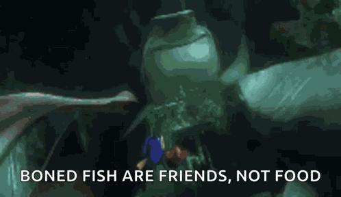Bruce Chum GIF
