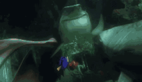 Bruce Chum GIF