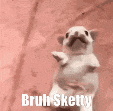 Bruh Sketty Goofball GIF