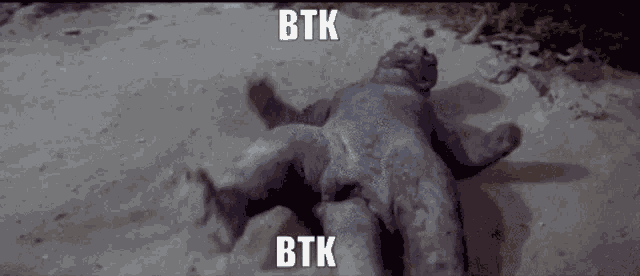 Btk Discord GIF