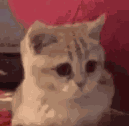 Btweers Treyreloaded GIF