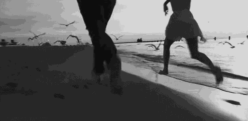 Bu Bu GIF