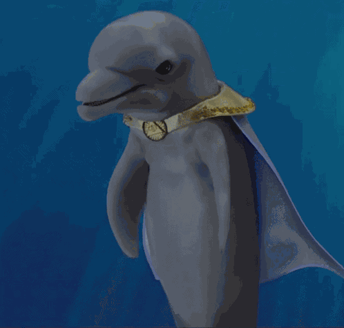 Bubbles Bubbles Dolphin GIF