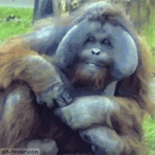 Bubblgegum Oksana Bubblegum GIF