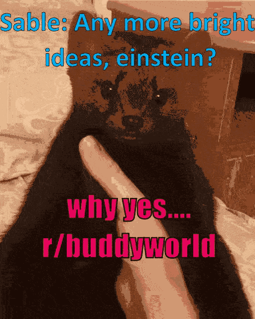Buddyworld Buddywudd GIF