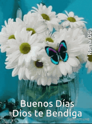 Buen Dia GIF