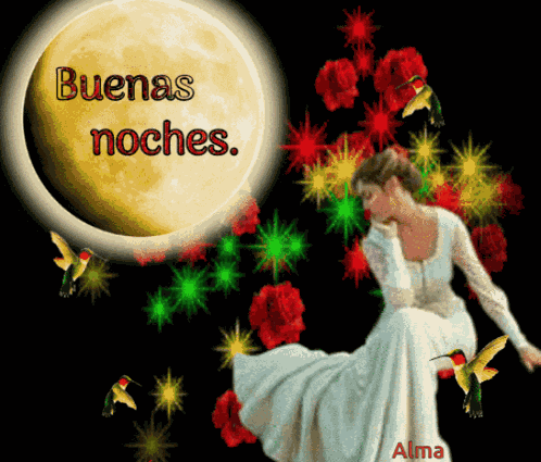 Buenas Noches GIF