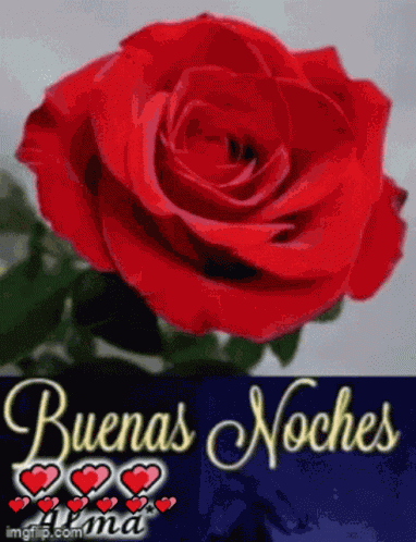 Buenas Noches Feliz Noche GIF