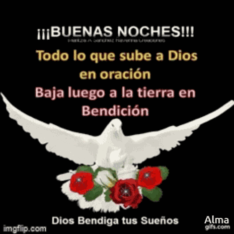 Buenas Noches GIF