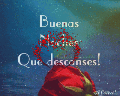 Buenas Noches Que Descanses GIF