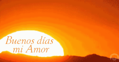 Buenos Días Amor GIF