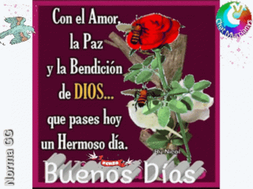 Buenos Días Good Morning GIF