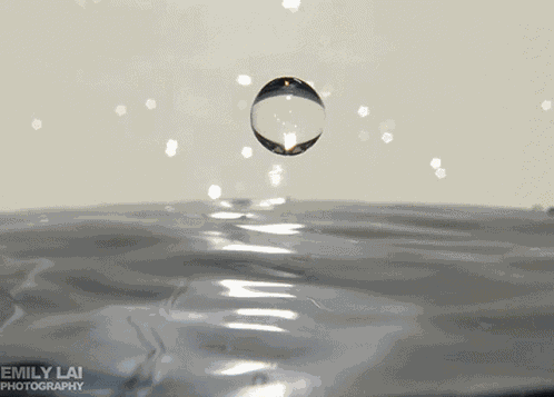 Buenos Días GIF