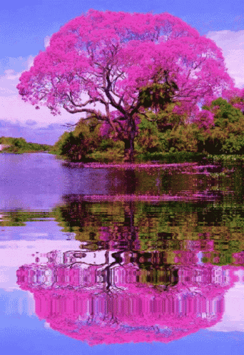 Buenos Días GIF