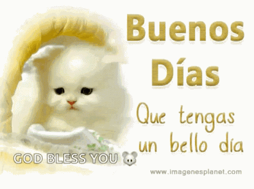 Buenos Dias Good Day GIF