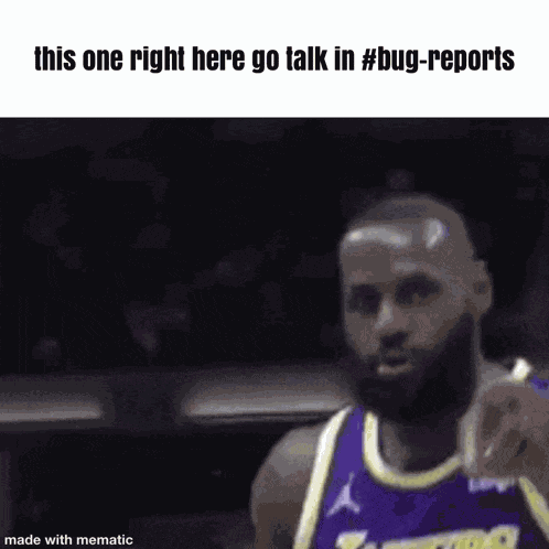 Bug Reports Lebron James GIF